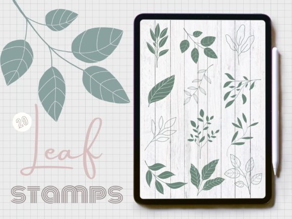 Botanical Leaf Brush Stamps: Elevating Digital Nature Art in Procreate