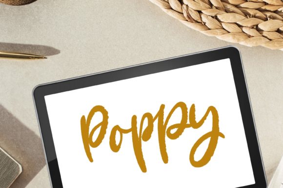 Elevate Your Digital Art with the Poppy Confetti Procreate Lettering Brush